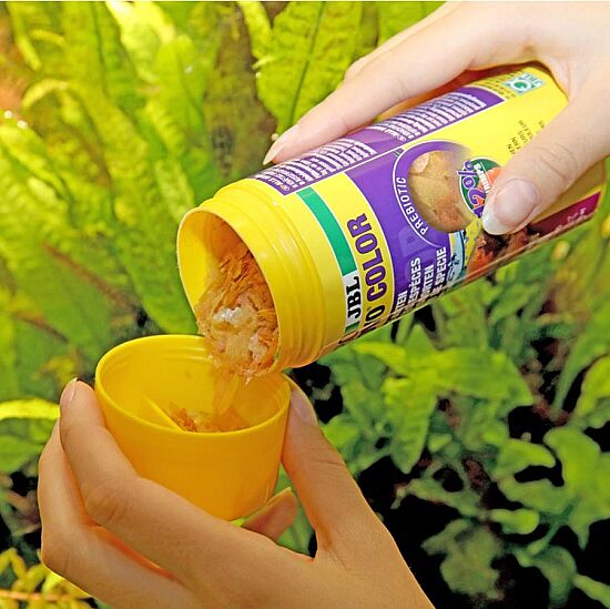 JBL Pronovo Color Flakes M Balık Yemi 100 ML - 3