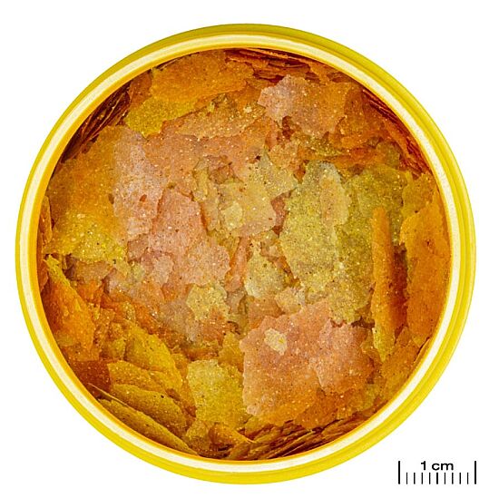 JBL Pronovo Color Flakes M Balık Yemi 100 ML - 4