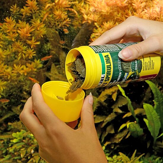 JBL Pronovo Spirulina Flakes M Balık Yemi 100 ML - 2