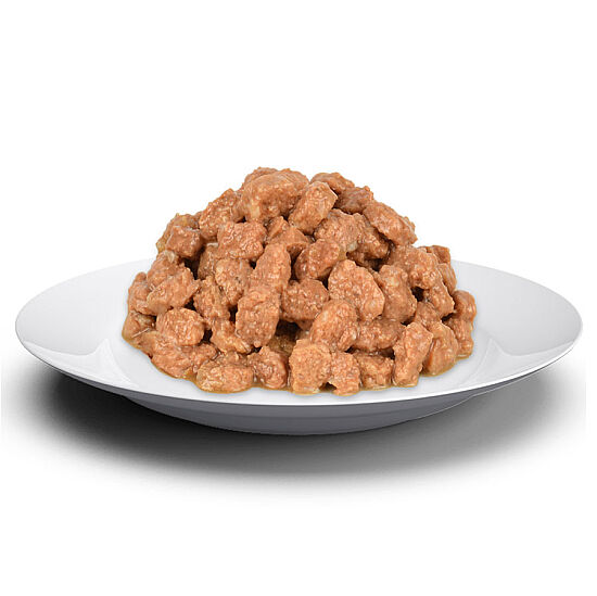 Jungle Pouch Adult Somonlu Yaş Yetişkin Kedi Maması 100 Gr - 2
