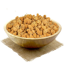 Jungle Touch Kuşlar İçin Lezzet Taneleri 150 Gr - Thumbnail