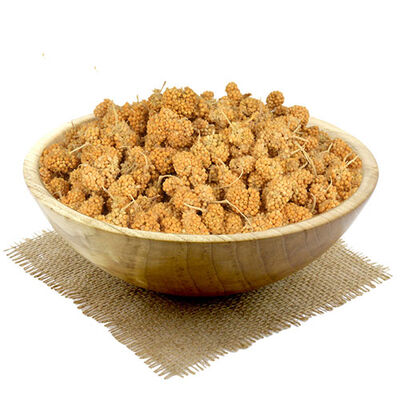 Jungle Touch Kuşlar İçin Lezzet Taneleri 150 Gr