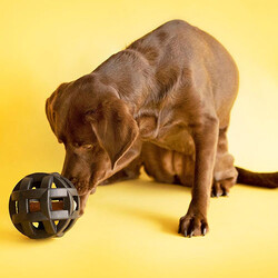 JW Hol-ee Roller Ultra Dayanıklı Köpek Oyun Topu - Thumbnail