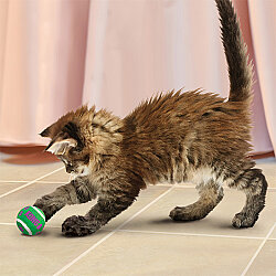 KONG Active 3'lü Zilli Top Kedi Oyuncağı - 4