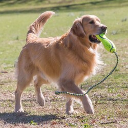 Kong Air Dog Fetch Stik L İpli Köpek Oyuncağı - Thumbnail