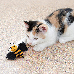 KONG BetterBuzz Arı Peluş Kedi Oyuncağı - 4