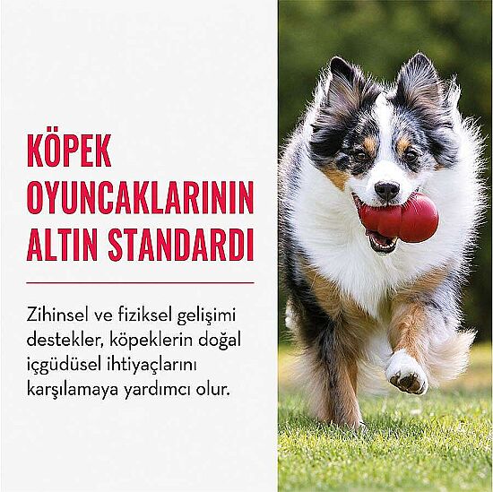 KONG Classic Köpekler için Çok Amaçlı Isırma Oyuncağı L - 6