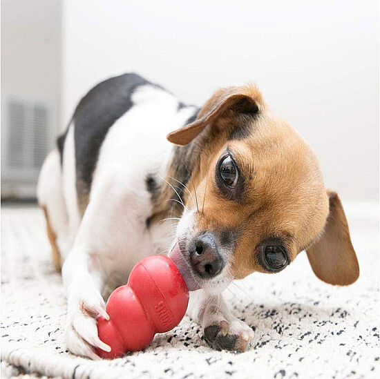 KONG Classic Köpekler için Çok Amaçlı Isırma Oyuncağı M - 5