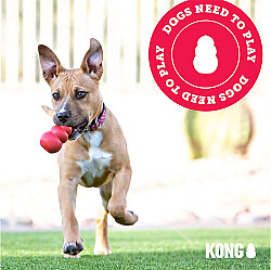 KONG Classic Köpekler için Çok Amaçlı Isırma Oyuncağı M - 6