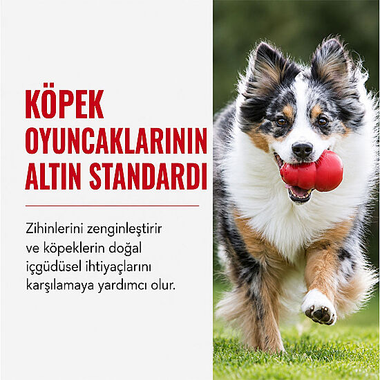 KONG Classic Köpekler için Çok Amaçlı Isırma Oyuncağı M - 7