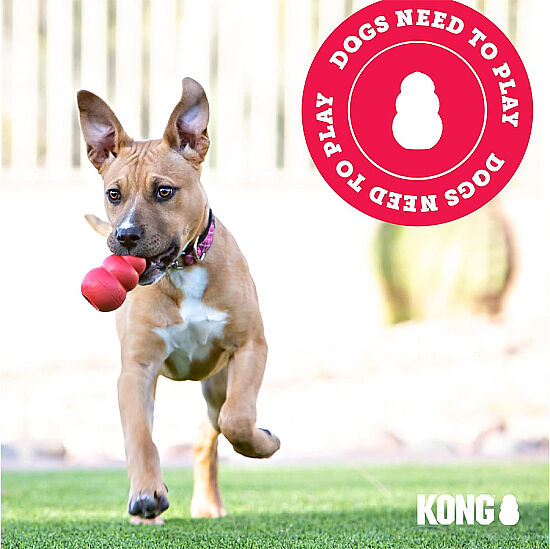 KONG Classic Köpekler için Çok Amaçlı Isırma Oyuncağı XS - 8