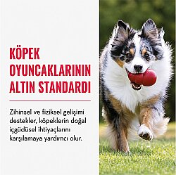 KONG Classic Köpekler için Çok Amaçlı Isırma Oyuncağı XXL - 6