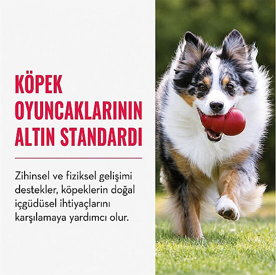 KONG Classic Köpekler için Çok Amaçlı Isırma Oyuncağı XXL - 6