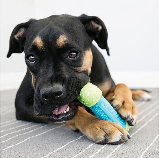 KONG CoreStrength Kemik Şeklinde Köpek Oyuncağı S/M - 4