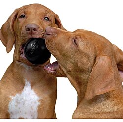 KONG Extreme Köpekler için Top Şeklinde Çok Amaçlı Isırma Oyuncağı Ultra Sert Medium/Large - Siyah - 6
