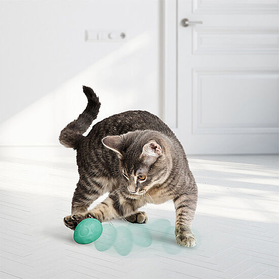 KONG Infused Kedi Otlu Yumurta Şekilde Top Kedi Oyuncağı - 3