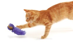 Kong Kedi Peluş Kuyruklu Mantar Oyun Topu 19 cm - Kong