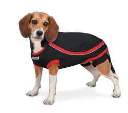 Kong Köpek Anksiyete Giderici Elbise Xs - Kong