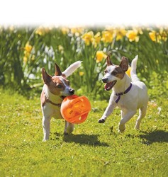 Kong Köpek Jumbler Toplu Oyuncak Medium / Large 17 cm - Thumbnail