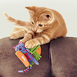 KONG Pull-A-Partz Purrito Peluş Kedi Oyuncağı - 4