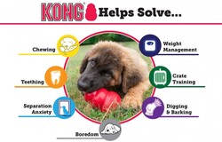 Kong Puppy Yavru Köpek Medium (Küçük - Orta Irk) 9 Cm - Thumbnail