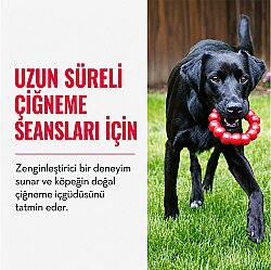 KONG Ring Köpekler için Yüzük Şeklinde Çok Amaçlı Isırma Oyuncağı Medium/Large - 5
