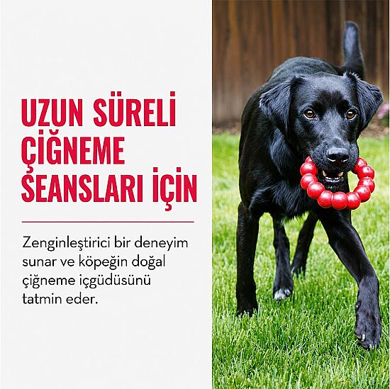 KONG Ring Köpekler için Yüzük Şeklinde Çok Amaçlı Isırma Oyuncağı Medium/Large - 5