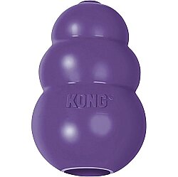 KONG Senior Yaşlı Köpekler için Çok Amaçlı Isırma Oyuncağı Hafif Yumuşak Large - 2