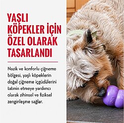 KONG Senior Yaşlı Köpekler için Çok Amaçlı Isırma Oyuncağı Hafif Yumuşak Medium - 3