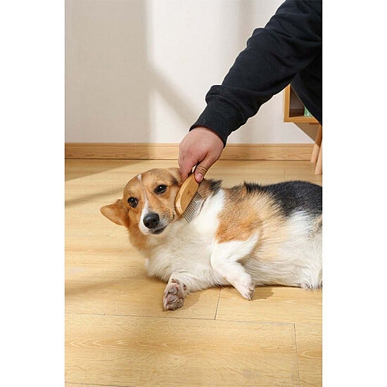 M-Pets Bamboo Yassı Tarak 16 Dişli - 2
