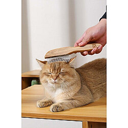 M-Pets Bamboo Yassı Tarak 31 Dişli - 2