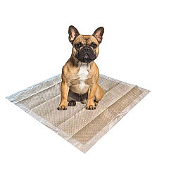 M-Pets Eco Bamboo Köpek Çiş Eğitim Pedi 60 x 60 Cm 50'li Paket - 2