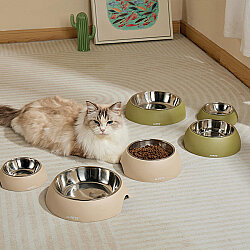 M-Pets Eco Bamboo Mama ve Su Kabı - 350 ML - Kum Sarısı - 4