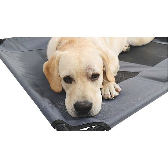 M-Pets Elevated Yükseltilmiş Kedi ve Köpek Yatağı - Medium - 3