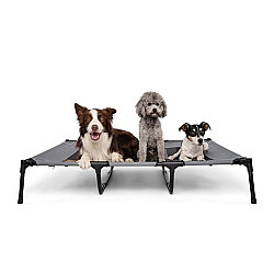 M-Pets Elevated Yükseltilmiş Kedi ve Köpek Yatağı - X-Large - 3