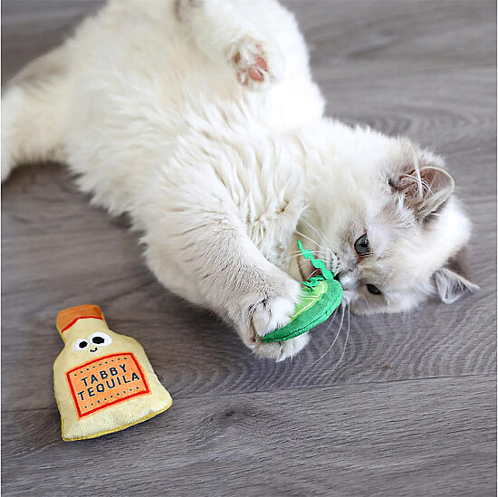 Mad Cat Tabby Tequila Kedi Otlu ve Matatabili 3 lü Kedi Oyuncağı - 2