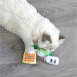 Mad Cat Tabby Tequila Kedi Otlu ve Matatabili 3 lü Kedi Oyuncağı - 4