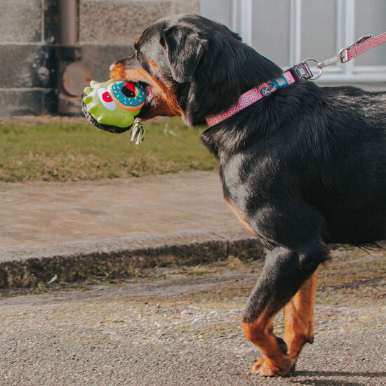 Max Molly Bob the Blob Snuggles Köpek Oyuncağı - 3