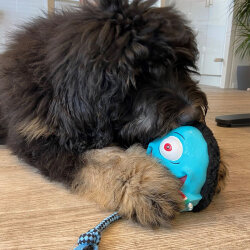 Max Molly Bubba King Snuggles Köpek Oyuncağı - 3