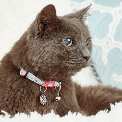 Max Molly Cherry Bloom Smart ID Kedi Boyun Tasması - 4