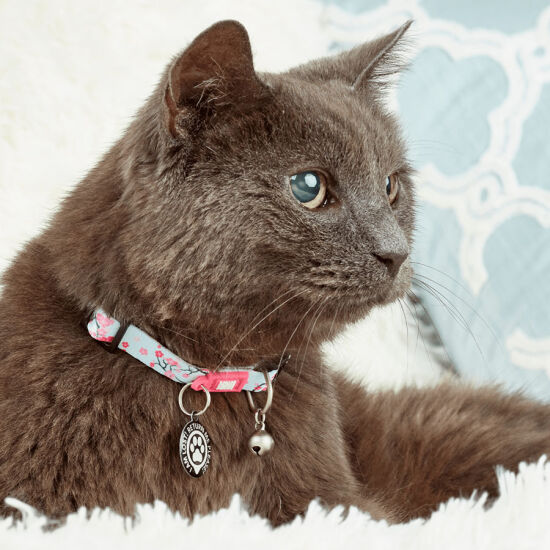 Max Molly Cherry Bloom Smart ID Kedi Boyun Tasması - 4