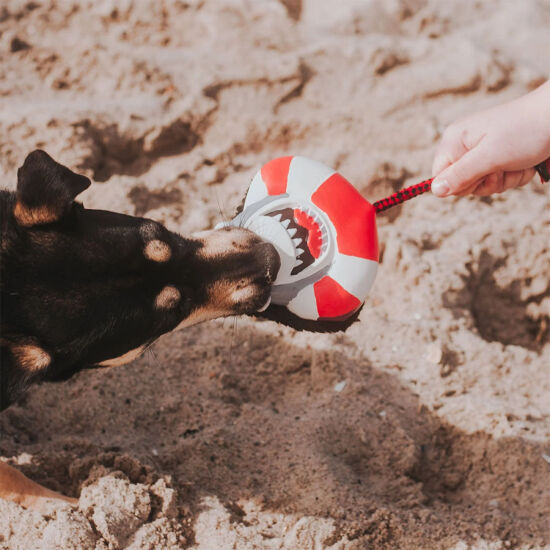 Max Molly Frenzy the Shark Snuggles Köpek Oyuncağı - 4