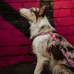 Max Molly Leopard Pink Desenli Köpek Gezdirme Kayışı (Small) - 6