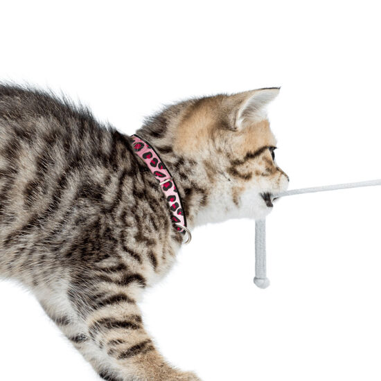 Max Molly Leopard Pink Smart ID Kedi Boyun Tasması - 2