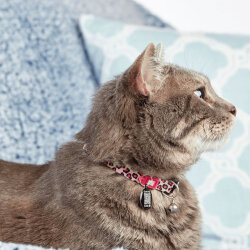 Max Molly Leopard Pink Smart ID Kedi Boyun Tasması - 3