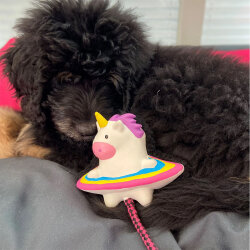 Max Molly Magic Mikey Snuggles Köpek Oyuncağı - 3