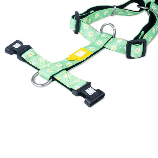 Max Molly Margarite Desenli Köpek Göğüs Tasması (Medium) - 2