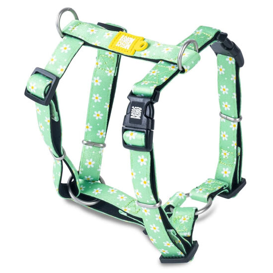 Max Molly Margarite Desenli Köpek Göğüs Tasması (XSmall) - 1