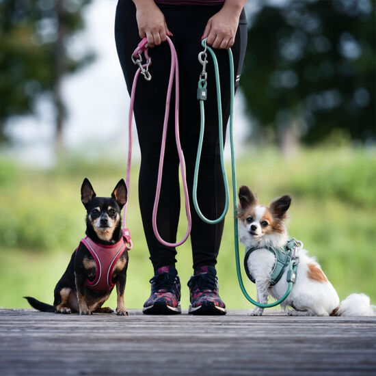 Max Molly Matrix 2.0 Air Vest Köpek Göğüs Tasması - Jade (XLarge) - 4