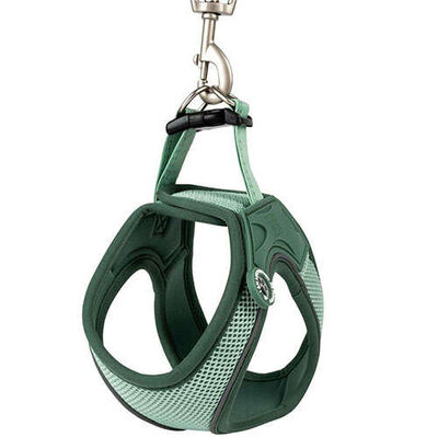 Max Molly Matrix 2.0 Air Vest Köpek Göğüs Tasması - Jade (XLarge)